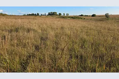 Tbd 340th Street, Ogema, MN 56569 - Photo 76