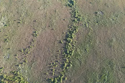 Tbd 340th Street, Ogema, MN 56569 - Photo 34