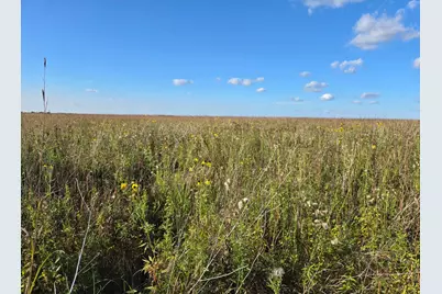 Tbd 340th Street, Ogema, MN 56569 - Photo 50