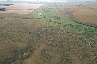 Tbd 340th Street, Ogema, MN 56569 - Photo 22