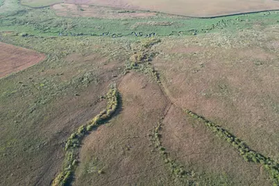 Tbd 340th Street, Ogema, MN 56569 - Photo 14