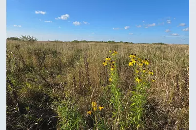 Tbd 340th Street, Ogema, MN 56569 - Photo 42