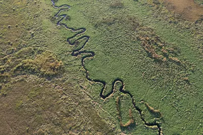 Tbd 340th Street, Ogema, MN 56569 - Photo 26