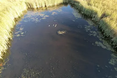 Tbd 340th Street, Ogema, MN 56569 - Photo 78