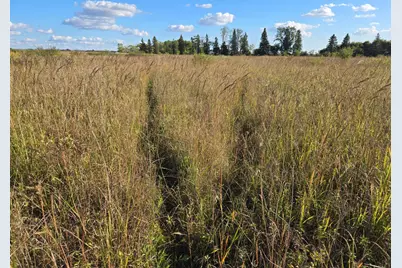 Tbd 340th Street, Ogema, MN 56569 - Photo 46