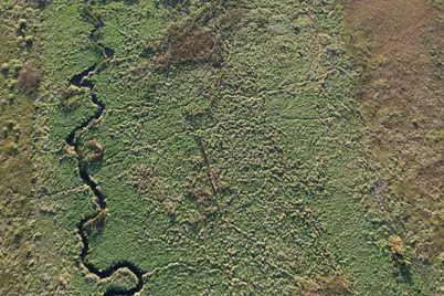 Tbd 340th Street, Ogema, MN 56569 - Photo 28