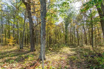 Tbd County Road 2, Brainerd, MN 56401 - Photo 16
