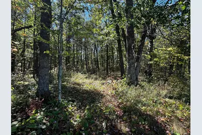 Tbd County Road 2, Brainerd, MN 56401 - Photo 12
