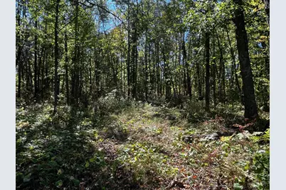 Tbd County Road 2, Brainerd, MN 56401 - Photo 10