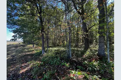Tbd County Road 2, Brainerd, MN 56401 - Photo 8