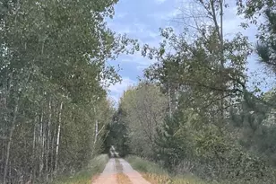 30169 513th Ave, Ottertail, MN 56571 - Photo 38