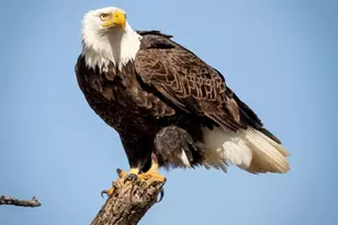 30169 513th Ave, Ottertail, MN 56571 - Photo 26