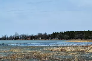 30169 513th Ave, Ottertail, MN 56571 - Photo 2