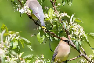 30169 513th Ave, Ottertail, MN 56571 - Photo 30