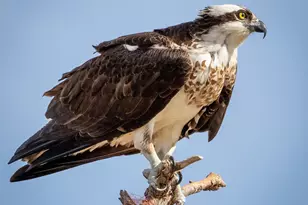 30169 513th Ave, Ottertail, MN 56571 - Photo 26