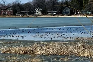 30169 513th Ave, Ottertail, MN 56571 - Photo 44