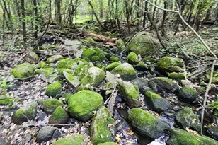 647 Stagecoach Rd, Mantorville, MN 55955 - Photo 40