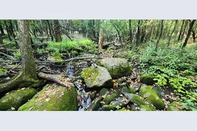 647 Stagecoach Road, Mantorville, MN 55955 - Photo 36