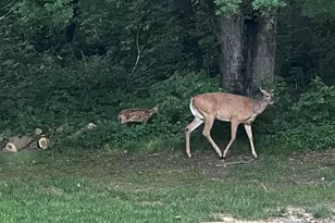 1224 US Hwy 12, Roberts, WI 54023 - Photo 60