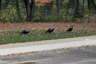 1224 US Hwy 12, Roberts, WI 54023 - Photo 62