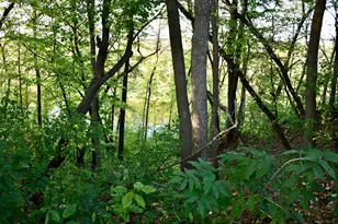 1124 River Dr NE, Red Lake Falls, MN 56750 - Photo 56