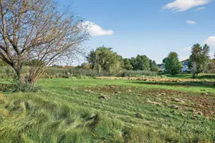 417 Birch Ave NW, Saint Michael, MN 55376 - Photo 48