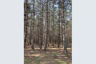 Lot 2 Fawn Lake Road, Crosslake, MN 56442 - Photo 4