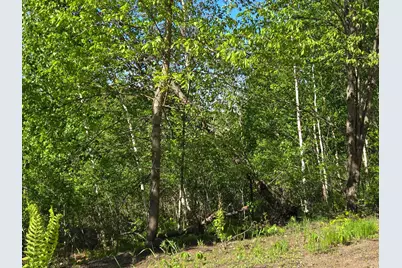 Tbd 360th Street, Onamia, MN 56359 - Photo 6
