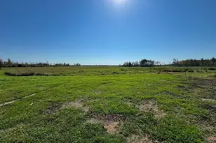 7663 Hwy 29, Meadowlands, MN 55765 - Photo 34