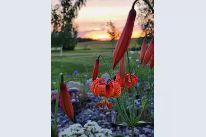 8695 Dosh Lane, Saint Mathias Twp, MN 56449 - Photo 50