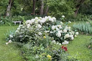 68540 300th St, Hartland, MN 56042 - Photo 70