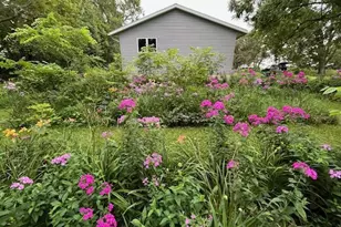 68540 300th St, Hartland, MN 56042 - Photo 68