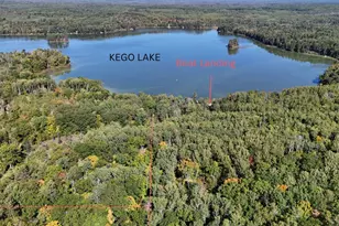 42305 Kego Lake Rd, Fifty Lakes, MN 56448 - Photo 1