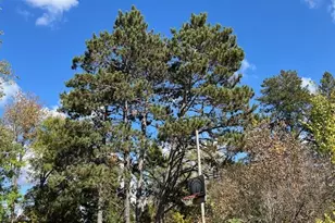 4789 Differding Point Rd, Eveleth, MN 55734 - Photo 26