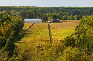 30968 State 200, Laporte, MN 56461 - Photo 36