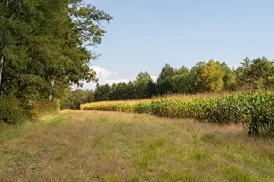 30968 State 200, Laporte, MN 56461 - Photo 32