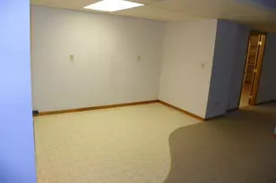 21553 Co Rd 34, Eden Valley, MN 55329 - Photo 52