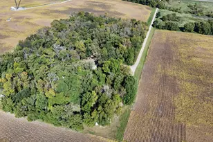 21553 Co Rd 34, Eden Valley, MN 55329 - Photo 6