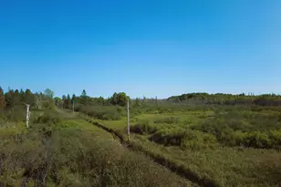 3Xxx County Rd 132, Kettle River, MN 55757 - Photo 2
