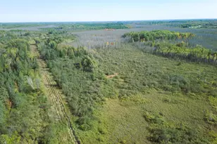 3Xxx County Rd 132, Kettle River, MN 55757 - Photo 4