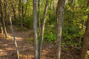 14298 Cross Lake Rd, Pine City, MN 55063 - Photo 44