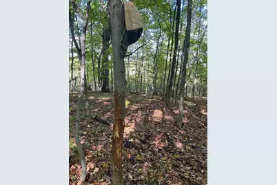 Xxx 424th Street, Harris, MN 55032 - Photo 2