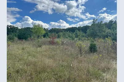 Xxx 424th Street, Harris, MN 55032 - Photo 4