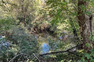 20128 554th St, West Concord, MN 55985 - Photo 20