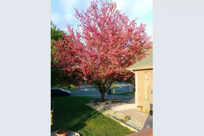 9902 Washington Street NE, Blaine, MN 55434 - Photo 32