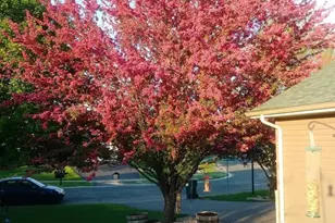 9902 Washington St NE, Blaine, MN 55434 - Photo 32