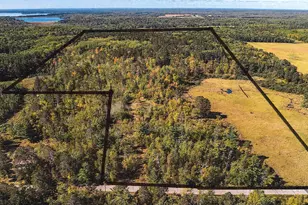 39687 Swanburg Rd, Pine River, MN 56474 - Photo 1