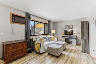 46 E 13th St, Waconia, MN 55387 - Photo 4