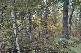 Tbd Dell Marie Pl, Breezy Point, MN 56472 - Photo 1