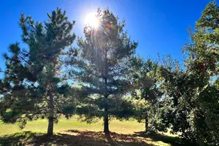 208 Hilltop Rd, Ottertail, MN 56571 - Photo 56